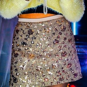 Sequin Embellished Skirt